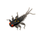 Magic Black