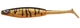 Motoroil Burbot
