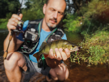 Przynęta Perch Professor Fluky Shad 2.5"/6,5cm - #03 Bimber Tea - 6 szt.