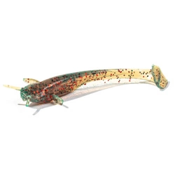 .Przynęta FishUp Catfish 2” (5cm) - #019 - Motor Oil/Red - 8 szt.