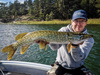 Guma Savage Gear Real Eel 20cm | LAMPREY PHP