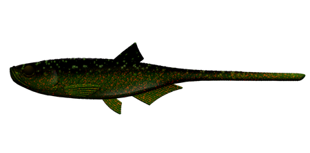 Przynęta Libra Lures Bleak Slug Tail 8.2" | 20.8 cm | 132 - Motor Oil Green