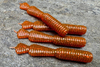 Guma Great Fish GF2 Leech 6cm | Motor Oil Red | bezzapachowy | 10 szt.