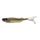 Gold Shad