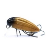 Wobler Engima Baits Owad 3cm - Brązowy-Złoty - pływający