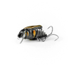 Wobler Imago Lures Maybug 3cm Dive - pływający - BK