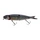 Herring
