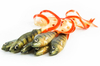 Guma Angry Lures Perch G-Tail 15cm | N