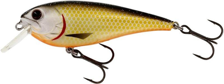 Wobler Westin RawBite Crankbait 7cm | Official Roach | pływający