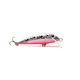 Rainbow Trout