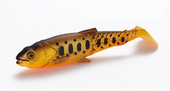 .Guma SAVAGE GEAR CRAFT CANNIBAL PADDLETAIL 6.5CM 4G DIRTY ROACH