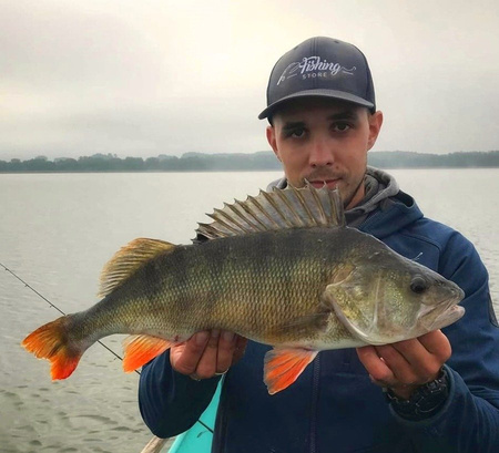 Guma Keitech Easy Shiner 3" | 7,6cm |  #417 Gold Flash Minnow | 10 szt.