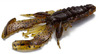Guma Westin CreCraw Creaturebait 8,5cm | Green Pumpkin Purple