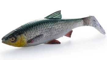 Guma Savage Gear 4D LB River Roach 22cm | Green Silver