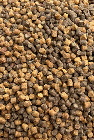 Pellet Feeder Bait 4mm | Fish Meal Natural