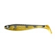 Perch Shiner