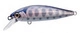 Pink Smolt