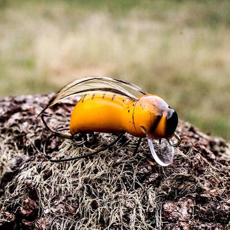 Wobler Engima Baits Osa 3,5cm | Osa Pospolita | pływający