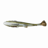 ..Savage Gear 4D Line Thru Pulsetail Trout 16cm SS 51g - Green Silver