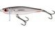Silver Flashy Fish