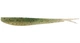 Emerald Shiner