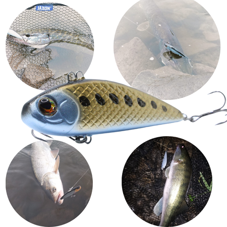 Wobler Engima Baits Cykada 9cm | Gold | tonący