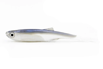 Przynęta Urbanek Ukleja 8.5cm - 2.7g - NPX- 1szt