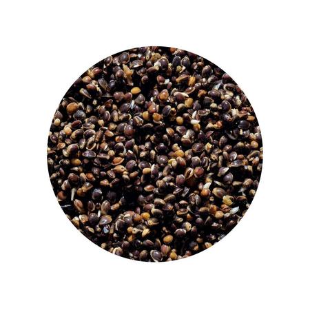 Ziarna zanętowe Genlog | Konopia naturalna | 1kg