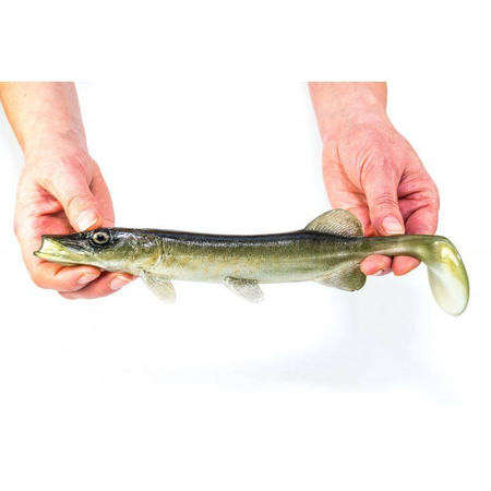 Guma Angry Lures Pike 25cm | NTA