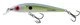 Sexy Shad