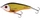 3D Official Roach \ Tonący \ 10
