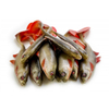 Guma Angry Lures Roach 22cm | NOR