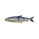 Whitefish