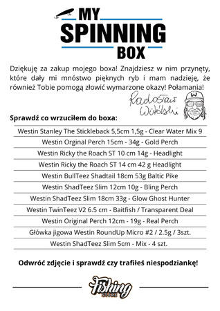 My Spinning Box | Radosław Witólski