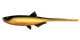 009 Gold