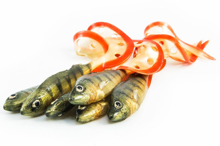 Guma Angry Lures Perch G-Tail 15cm | N