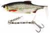 Zestaw Guma Westin Ricky the Roach ST 14cm | Real Roach - 1szt + Dozbrojka Vis Vangen 2szt.