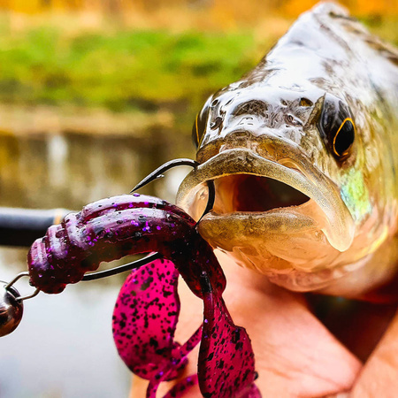 Przynęta Perch Professor Fapping Craw 2"/5cm - #03 Bimber Tea - 6 szt.