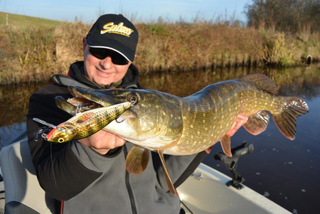Wobler Salmo Perch 8cm | Holographic Perch | pływający