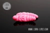 Przynęta Libra Lures LARGO 3.5cm, 017 - bubble gum- 10szt (zapach krylowy)