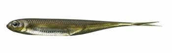 Fish Arrow Flash-J Split 3" - Kosan Ayu/Silver #06 - 1 szt.