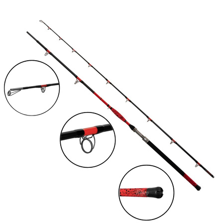 Wędka sumowa Delphin DANGER CatFISH / 310cm / 350g / 2sec