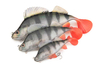 Guma Fox Rage Ultra Realistic Replicant 14cm | Perch