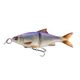 Clear Blue Roach