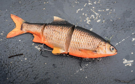 .Przynęta Westin Ricky the Roach Inline 35cm | Redlight Roach | tonący