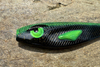 Guma Great Fish Rocky 10cm | Black Alien | 2 szt.