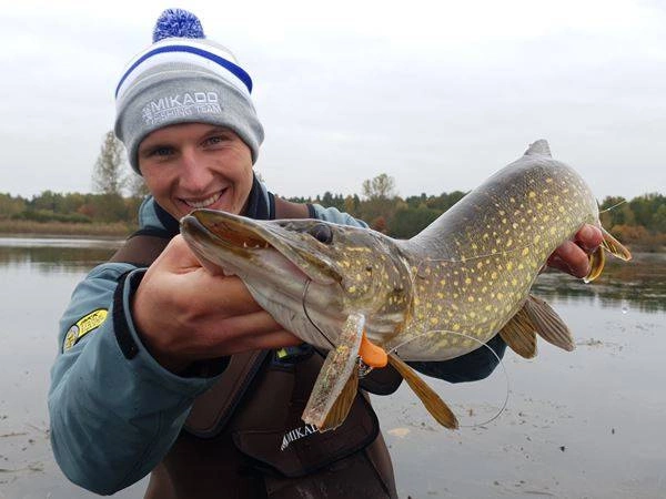 .Przynęta MIKADO FISHUNTER 8cm, kolor 56 op 5szt