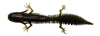 Guma Savage Gear NED Salamander 7,5cm | Watermelon Red