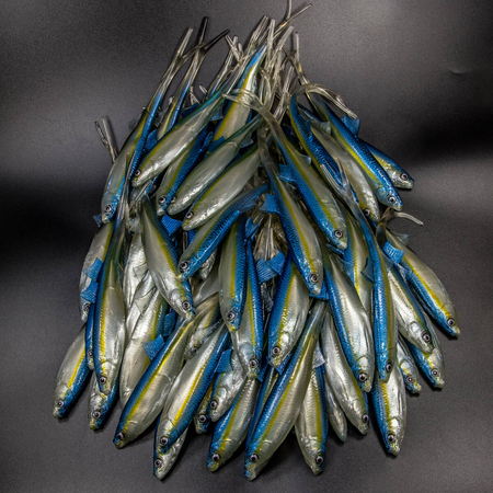 Guma Angry Lures Bleak V-Tail 20cm | TBY