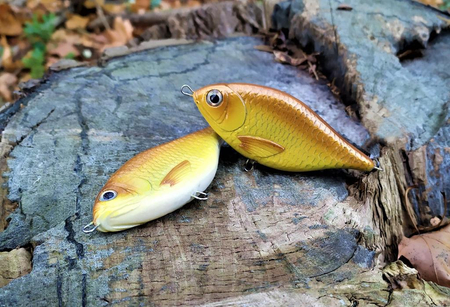 Jerk Lost Lures Ferox 10 cm - tonący - F21 - Crucian Gold